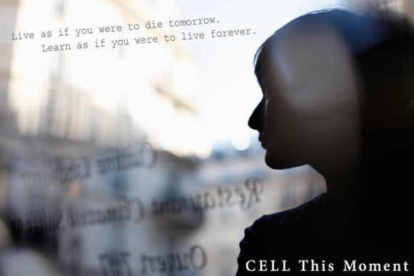 香水 - CELL（セル）